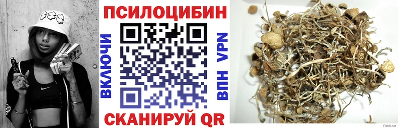 Псилоцибиновые грибы GOLDEN TEACHER  как найти   Чердынь 